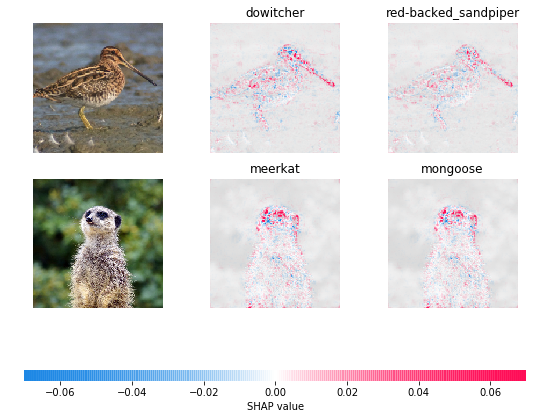 ../../_images/example_notebooks_gradient_explainer_Explain_an_Intermediate_Layer_of_VGG16_on_ImageNet_(PyTorch)_3_0.png