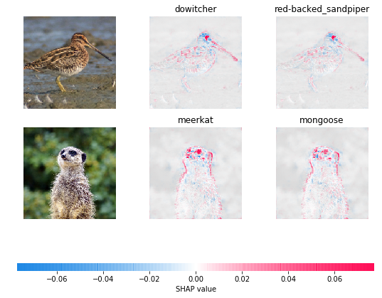 ../../_images/example_notebooks_gradient_explainer_Explain_an_Intermediate_Layer_of_VGG16_on_ImageNet_(PyTorch)_5_0.png